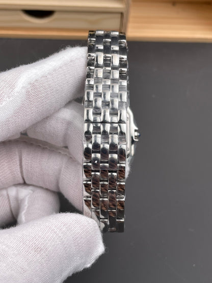 Panthere de Cartier Medium Steel