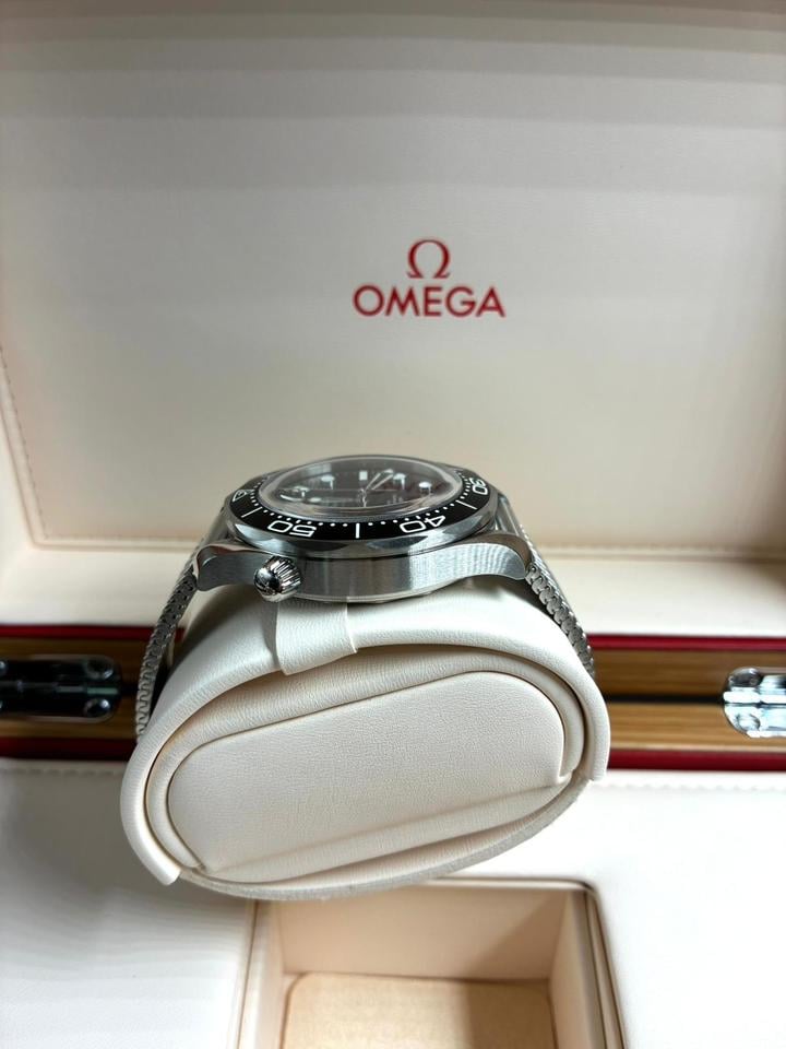 Seamaster Diver 300M Aluminium Bezel