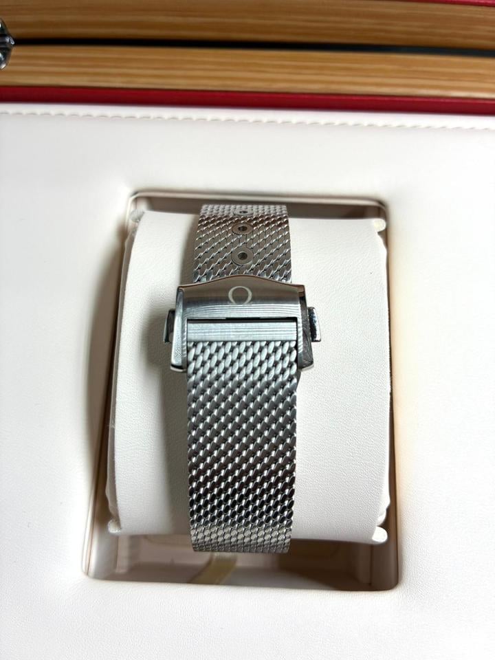 Seamaster Diver 300M Aluminium Bezel