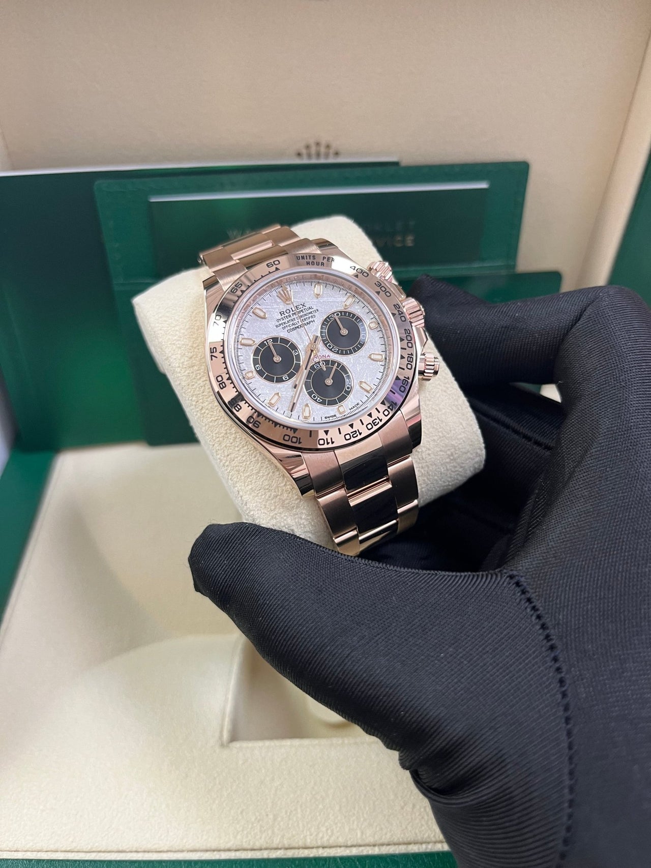 Cosmograph Daytona Meteorite Everose