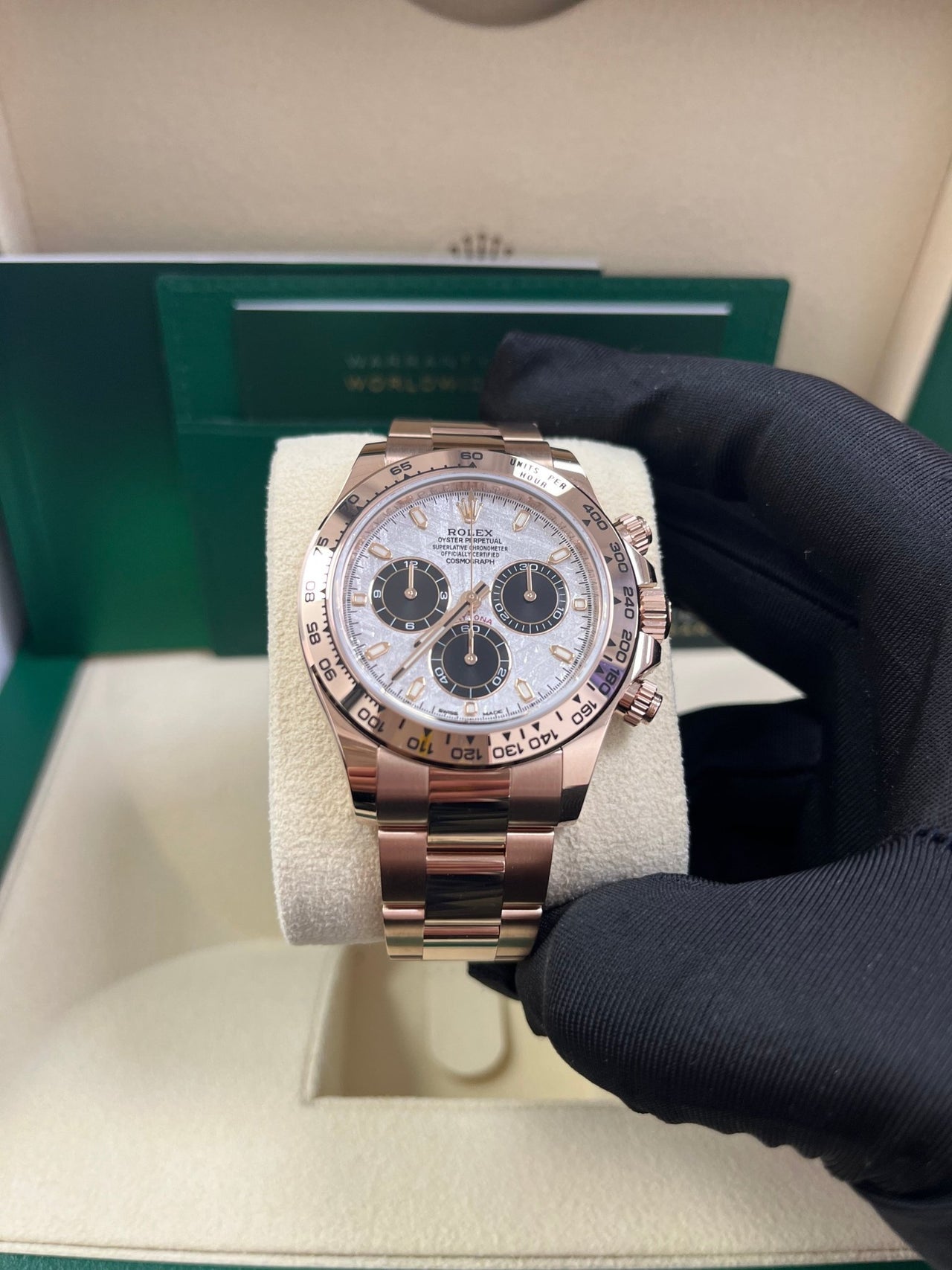 Cosmograph Daytona Meteorite Everose