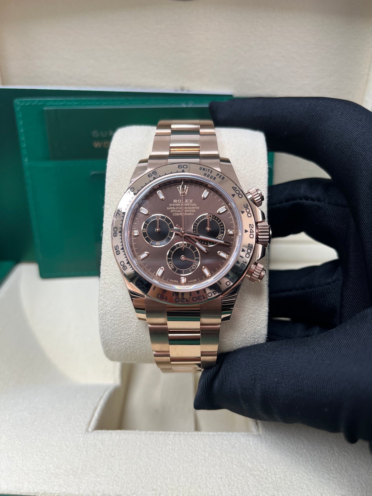 Cosmograph Daytona Everose Chocolate Dial
