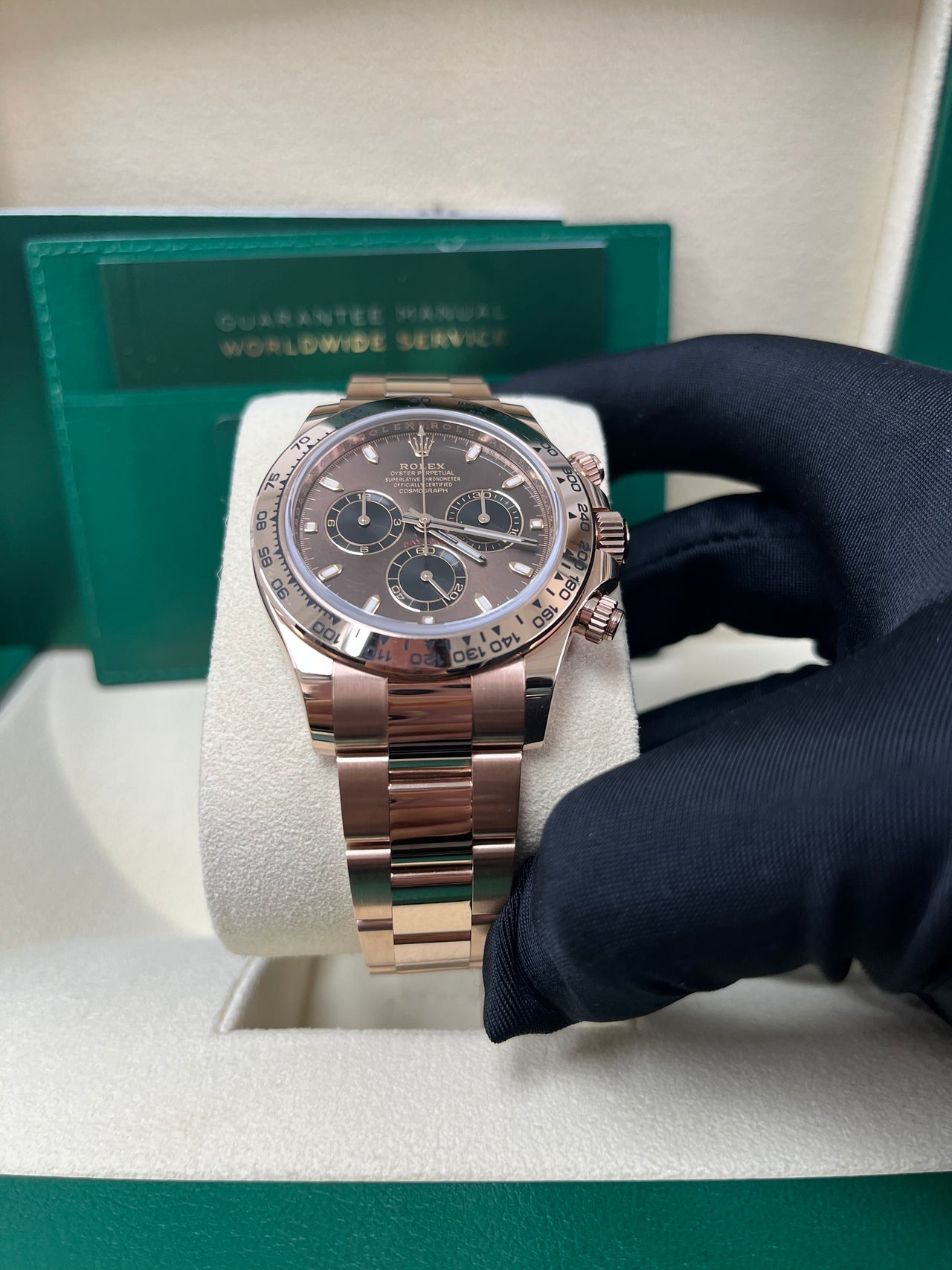 Cosmograph Daytona Everose Chocolate Dial
