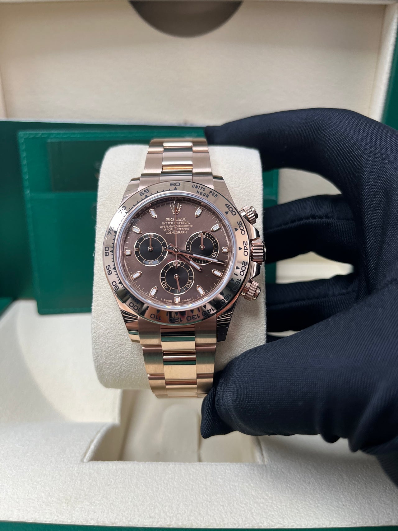 Cosmograph Daytona Everose Chocolate Dial